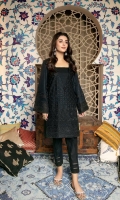 Embroidered Chikankari 1PC Stitched Kurti