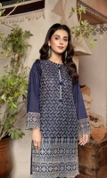 Embroidered Chikankari 1PC Stitched Kurti