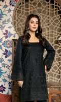 Embroidered Chikankari 1PC Stitched Kurti