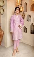 Embroidered Chikankari 1PC Stitched Kurti