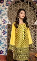 Embroidered Chikankari 1PC Stitched Kurti
