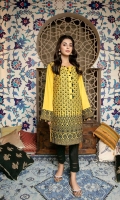 Embroidered Chikankari 1PC Stitched Kurti