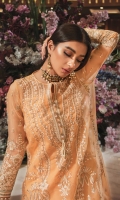 Embroidered Organza Front Embroidered Organza Neckline Finishing Embroidered Organza Back Embroidered Organza Front and Back Border Embroidered Organza Sleeves Embroidered Organza Sleeve Patch Cotton Silk Lining Raw Silk Pants Embroidered Net Dupatta