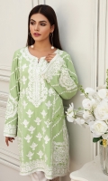 Elegant pistachio green chiffon georgette shirt accentuated with Kashmiri embroidery and comes with white pants.