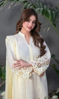 amna-sohail-meenah-lawn-2024-14