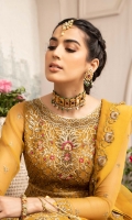 Embroidered Front Body Organza Embroidered Back Body Organza Embroidered Body Belt Organza Embroidered Front Panels Organza Embroidered Back Panels Organza Embroidered Sleeves Organza Embroidered Organza Dupatta Dyed Inner Shirt Cotton Silk Dyed Trouser Raw silk