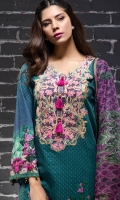 beech-tree-winter-collection-2016-8