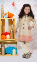 Pure cotton net shirt with embroidered and sleeves including banarsi trouser.