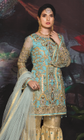 Organza Front With Handwork and Embroidery Organza Embroidered Back Hand Work Organza Border Handwork Embroidered sleeves on Organza Embroidered Net Pallu Dupatta with Handwork Embroidered Net Fabric for Gharara Jamawar for Gharara