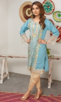Round Neck Fully Embroidered Shirt With Neck Line Fancy Buttons Embroidered Organza Sleeves