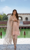 Shirt Organza Front & Back Organza Sleeves Dupatta Organza Dupatta Pajama Raw Silk Pajama