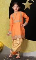embroidered kurta embelished with sequins lace