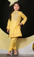 gold paste printed kurta with dori work embroiderey details paired with trouser