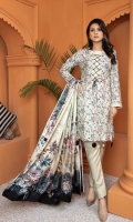 Embroidered Pashmina Pashmina Shawl Plain Trouser
