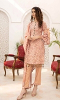 Chikenkari Pashmina Wool Shawl Plain trouser