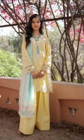 manara-pret-farsi-shalwar-2025-7