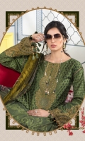 Printed shirt Dyed trouser Printed chiffon dupatta Embroidered neckline Embroidered patches