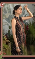Printed shirt Dyed trouser Printed chiffon dupatta Embroidered neckline patti Embroidered neck motif Embroidered patti