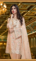 Chiffon Embroidered Front, Sleeves, Dupata, Embroidered Front, Back, Back Daman Patch, Grip Trouser and Accessories.