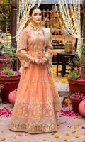Chiffon Embroidered Front  Chiffon Embroidered Back  Chiffon Embroidered Front & Back Bodice  Plain Chiffon Sleeves  Organza Embroidered Neckline  Organza Embroidered Front Border  Organza Embroidered Back Border  Organza Embroidered Sleeves Border  Organza Embroidered Sleeves Motifs  Tissue Dupatta  Organza Embroidered Dupatta Pallu  Dyed Raw Silk Trouser