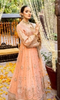 Chiffon Embroidered Front  Chiffon Embroidered Back  Chiffon Embroidered Front & Back Bodice  Plain Chiffon Sleeves  Organza Embroidered Neckline  Organza Embroidered Front Border  Organza Embroidered Back Border  Organza Embroidered Sleeves Border  Organza Embroidered Sleeves Motifs  Tissue Dupatta  Organza Embroidered Dupatta Pallu  Dyed Raw Silk Trouser