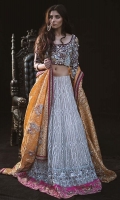 Blouse Lengha- Organza Fabric, with Gota work, Zardozi Crystal Borders. Skirt (sold separately) Dupatta (sold separately)