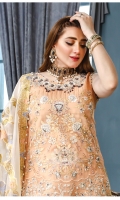 3PC Embroidered Organza Suit