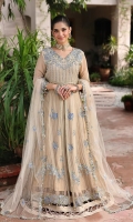 roheenaz-aangan-chiffon-2025-7