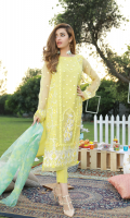 Embroidered Organza Front, Plain Back, Embroidered Sleeves, Dyed Trouser and Organza Printed Dupatta