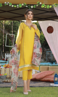 Embroidered Organza Front, Plain Back, plain Sleeves, Dyed Trouser and Organza Printed Dupatta.