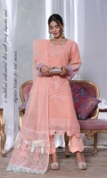 zainab-fazlani-jaan-e-ada-chiffon-2022-6