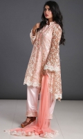 Embroidered Zari Net Stitched 3 Piece Suit 