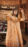 Embroidered Organza Front Embroidered Organza Neckline Finishing Embroidered Organza Back Embroidered Organza Front and Back Border Embroidered Organza Sleeves Embroidered Organza Sleeve Patch Cotton Silk Lining Raw Silk Pants Embroidered Net Dupatta