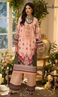 1 embroidered neckline on organza 3 Meters printed shirt on lawn