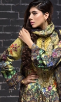 beech-tree-winter-collection-2016-1