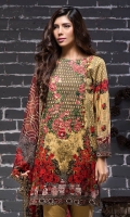beech-tree-winter-collection-2016-2