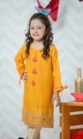 Pure cotton net shirt with embroidered front & sleeves including banarsi trouser.