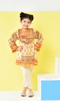 frock style paneled shirt with frilled neck