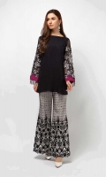 2 Piece Shirt and trouser Chiffon shirt Embroidered sleeves Embellished neckline Fully embroidered raw silk pants
