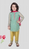 3 piece Shirt, shalwar and dupatta Green net shirt with embroidered on sleeves and neck Yellow grip shalwar with embroidered patti on hem Pink chiffon dupatta Embellished with tilla balls and buttons